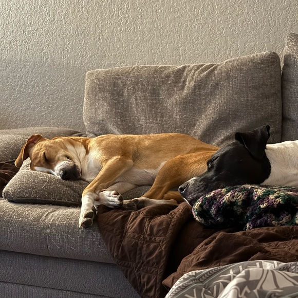 Live Show Flyer, Hangout with @hey_its_hayley ❤️Unlisted, steal deals, and more! - Picture 5 of 6